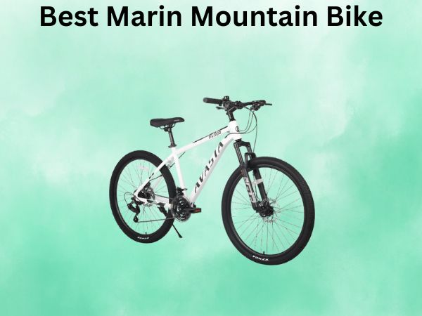 Best Marin Mountain Bike