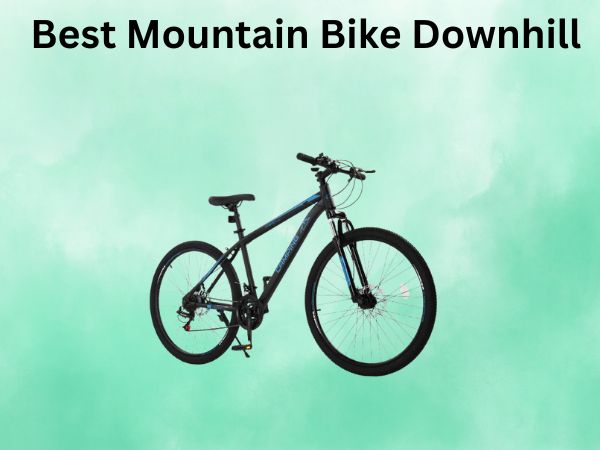 Best Mountain Bike Downhill