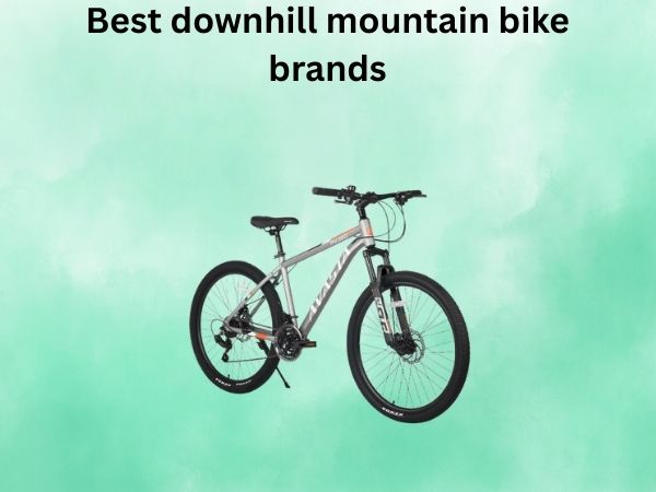 Best downhill mountain bike brands