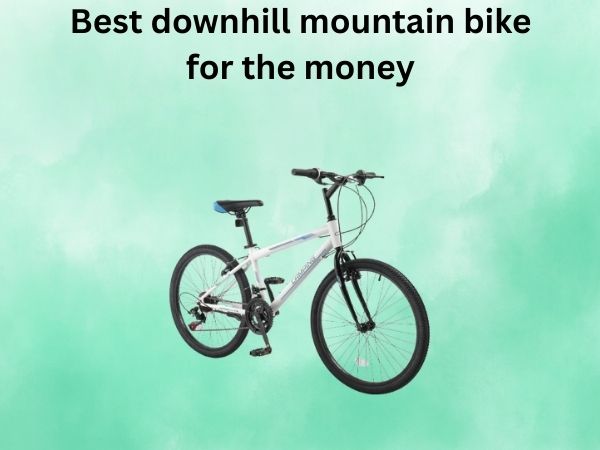 Best downhill mountain bike for the money