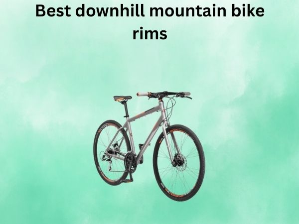 Best downhill mountain bike rims
