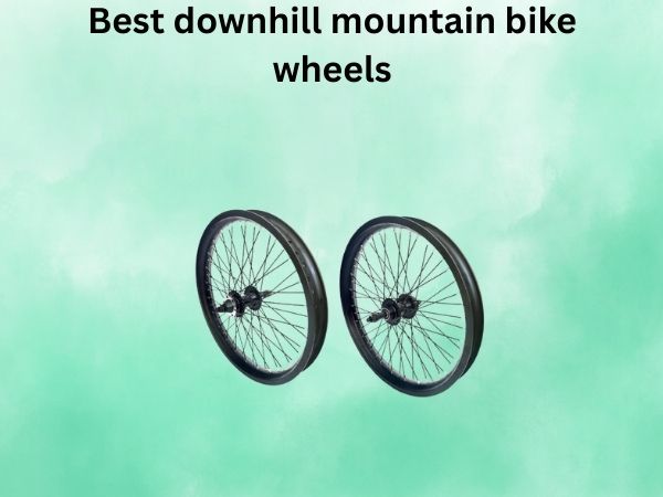 Best downhill mountain bike wheels