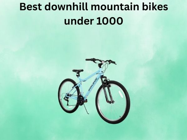 Best downhill mountain bikes under 1000