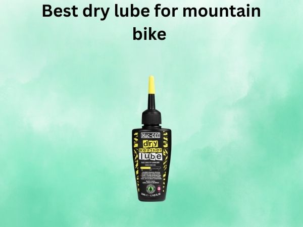 Best dry lube for mountain bike