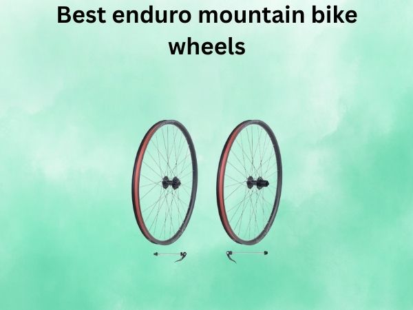 Best enduro mountain bike wheels
