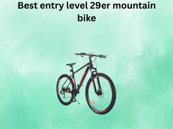 Best entry level 29er mountain bike