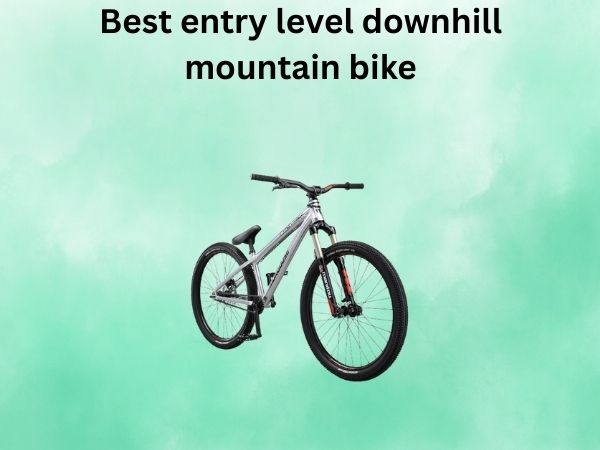 Best entry level downhill mountain bike