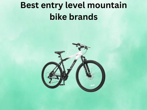 Best entry level mountain bike brands