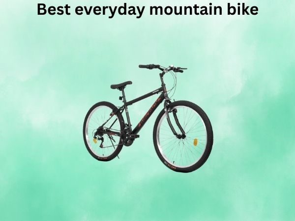 Best everyday mountain bike