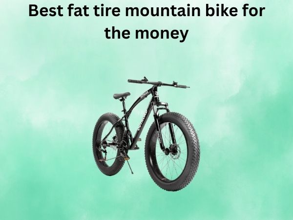 Best fat tire mountain bike for the money
