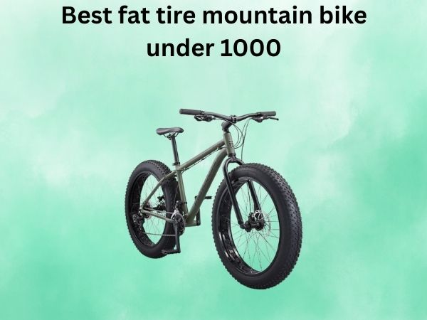 Best fat tire mountain bike under 1000