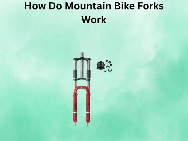 How Do Mountain Bike Forks Work