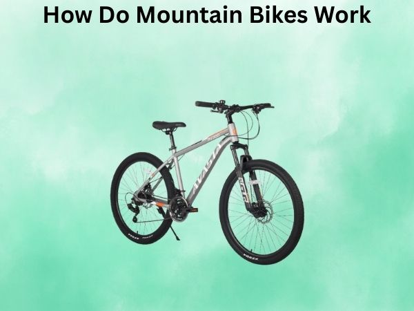 How Do Mountain Bikes Work
