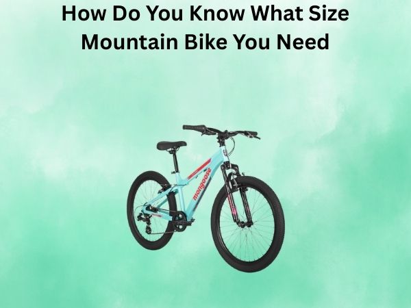 How Do You Know What Size Mountain Bike You Need