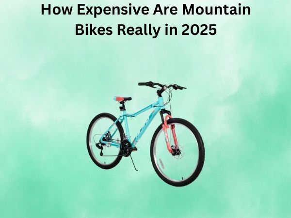 How Expensive Are Mountain Bikes Really in 2025