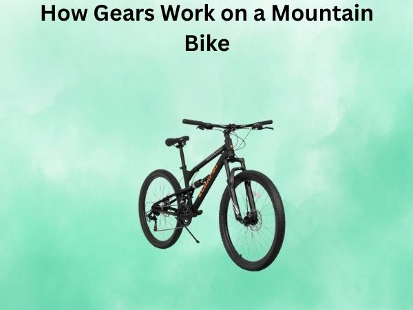 How Gears Work on a Mountain Bike