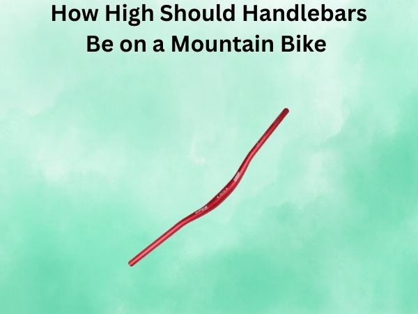 How High Should Handlebars Be on a Mountain Bike
