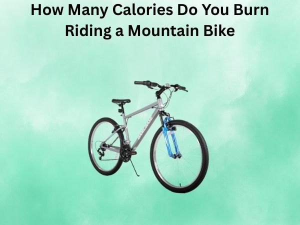 How Many Calories Do You Burn Riding a Mountain Bike