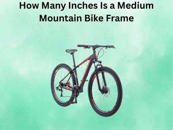 How Many Inches Is a Medium Mountain Bike Frame