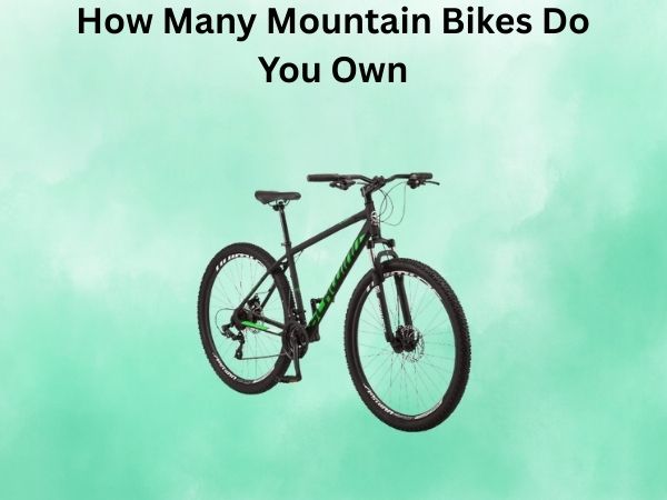How Many Mountain Bikes Do You Own