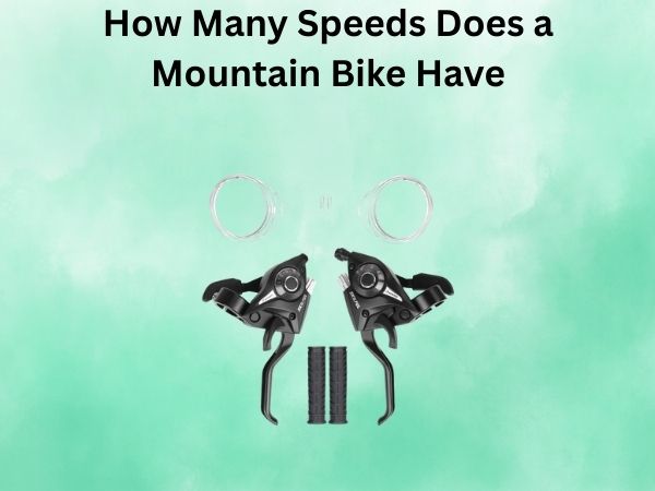 How Many Speeds Does a Mountain Bike Have