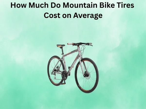 How Much Do Mountain Bike Tires Cost on Average