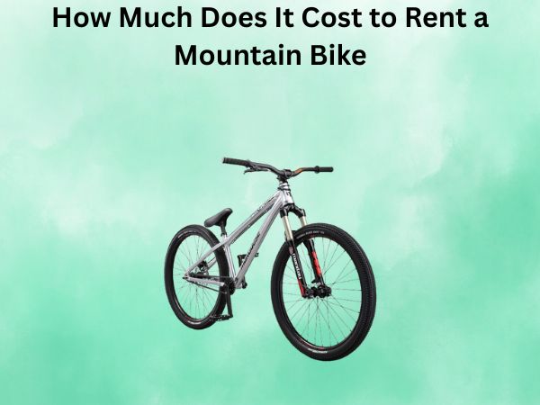 How Much Does It Cost to Rent a Mountain Bike