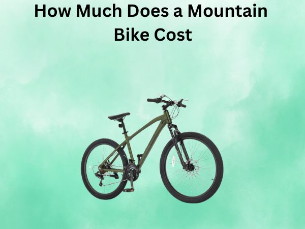 How Much Does a Mountain Bike Cost