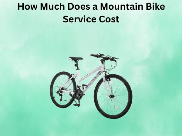 How Much Does a Mountain Bike Service Cost