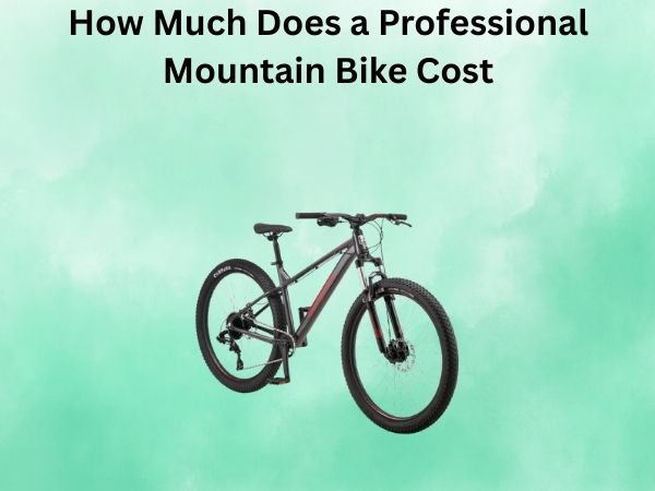 How Much Does a Professional Mountain Bike Cost