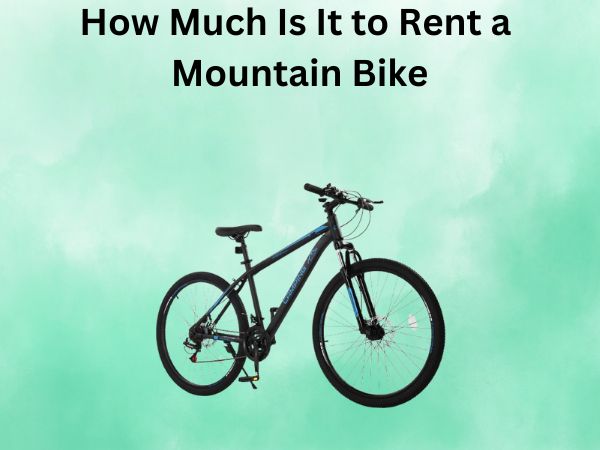 How Much Is It to Rent a Mountain Bike