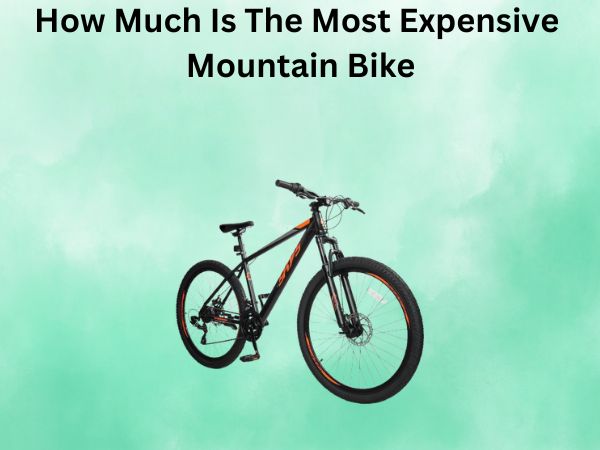 How Much Is The Most Expensive Mountain Bike
