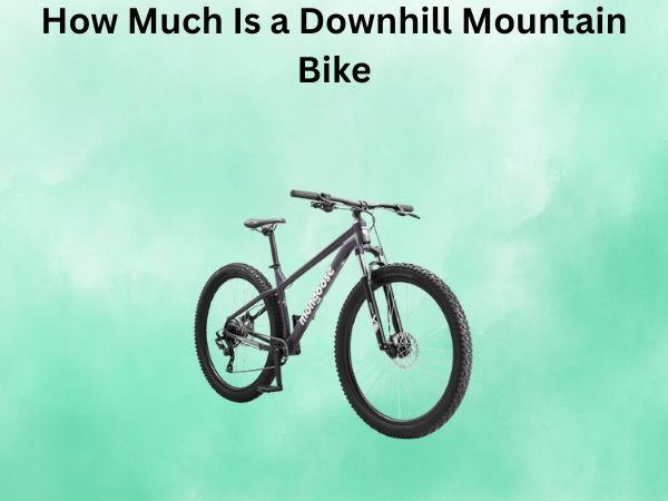 How Much Is a Downhill Mountain Bike