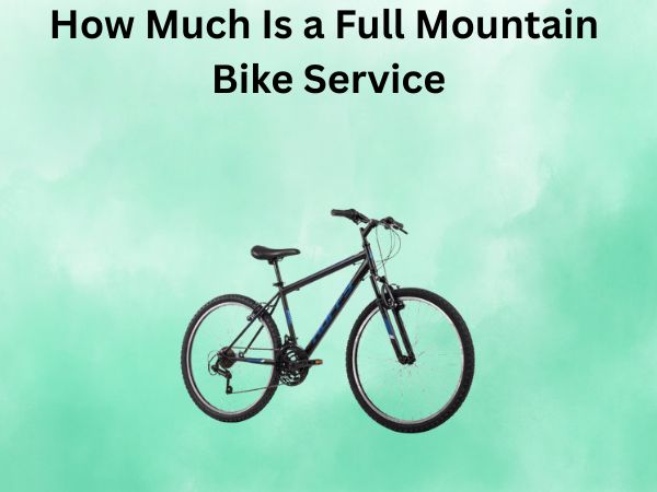 How Much Is a Full Mountain Bike Service