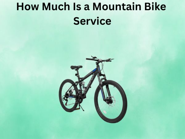 How Much Is a Mountain Bike Service