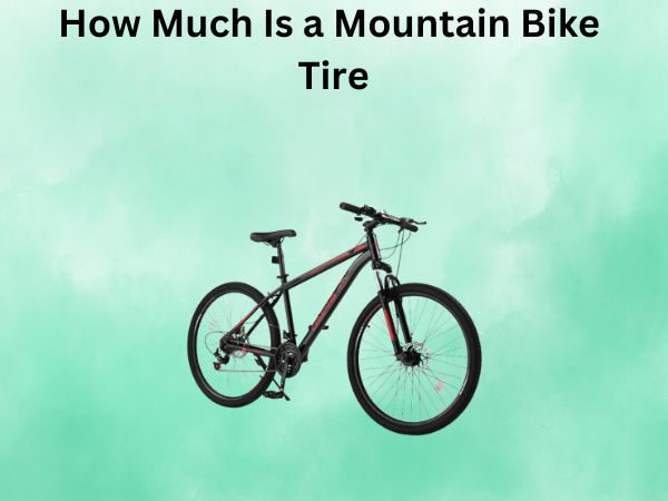 How Much Is a Mountain Bike Tire