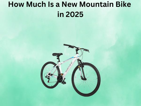 How Much Is a New Mountain Bike in 2025
