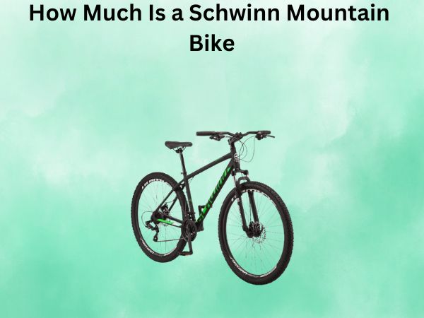How Much Is a Schwinn Mountain Bike