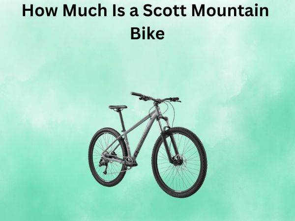 How Much Is a Scott Mountain Bike