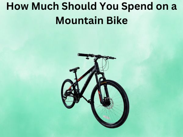 How Much Should You Spend on a Mountain Bike