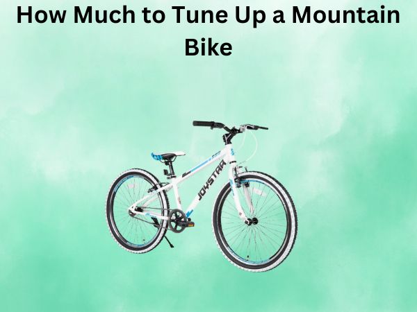 How Much to Tune Up a Mountain Bike