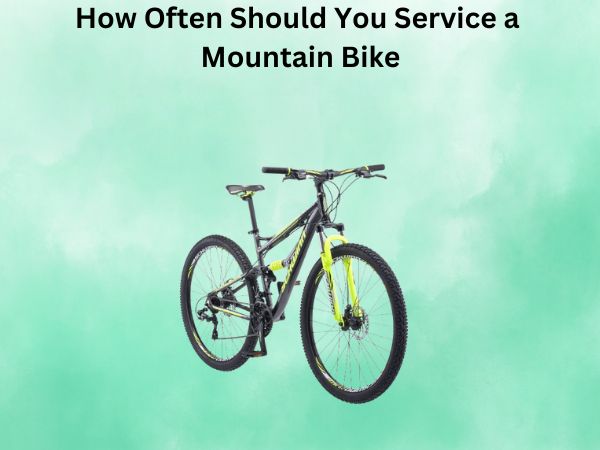 How Often Should You Service a Mountain Bike